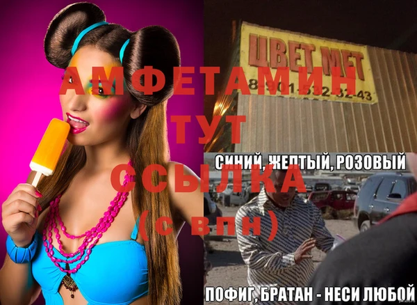 прущие грибы Алзамай