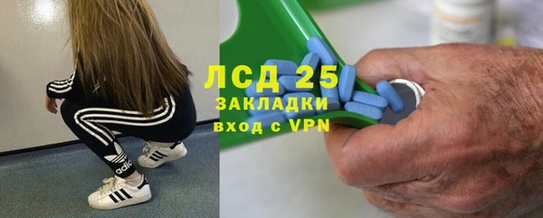 прущие грибы Алзамай