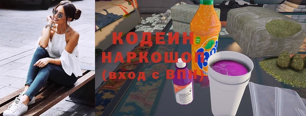прущие грибы Алзамай