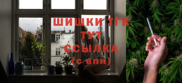 прущие грибы Алзамай