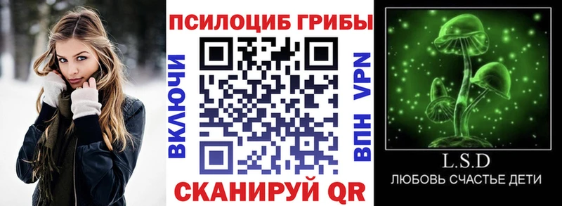 где купить   Обоянь  Псилоцибиновые грибы мицелий 